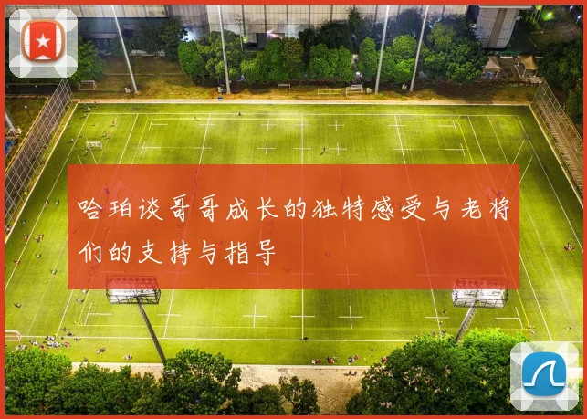 哈珀谈哥哥成长的独特感受与老将们的支持与指导